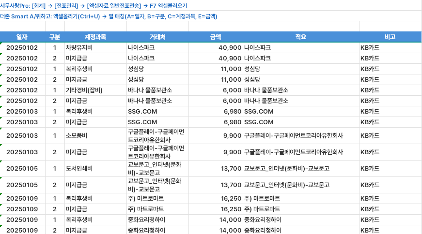 STELX 세무사랑 Pro 호환 전표 엑셀 출력 — 복식부기 차변/대변